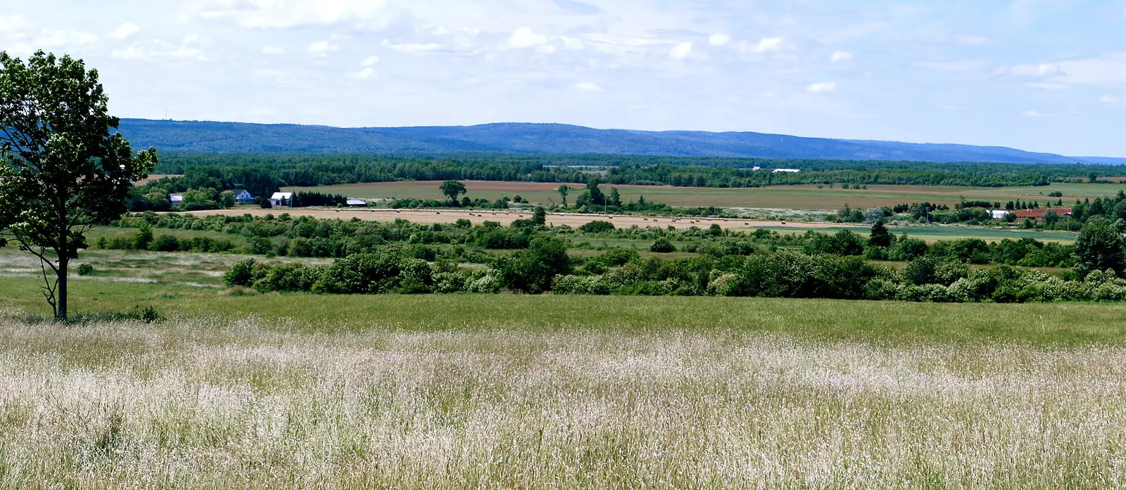 Wide farmland in the Annapolis Valley, Nova Scotia, with low hills on the horizon