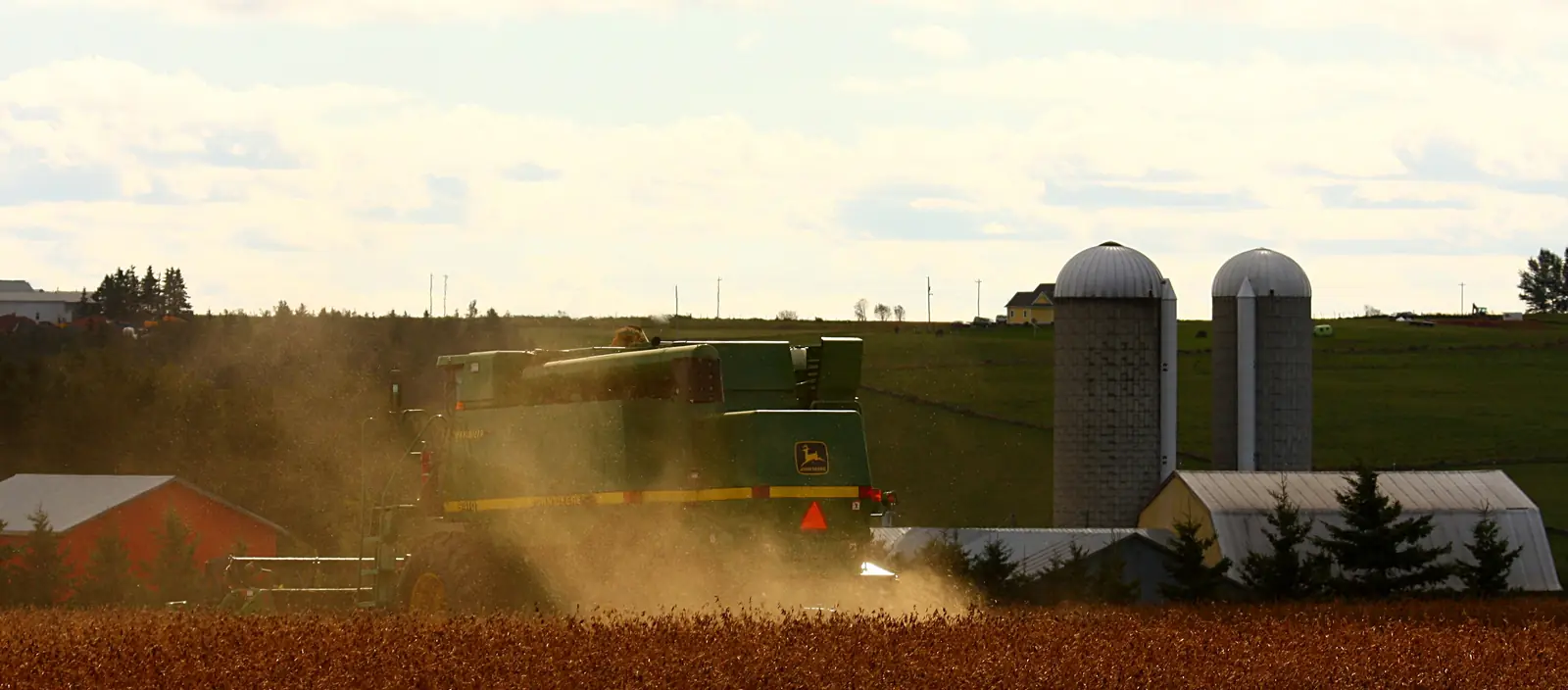A combine harvesting a soybean field beside a farm with two silos on Prince Edward Island
